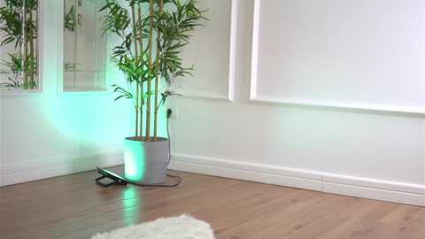 alexxiskye free recording from 2026-01-28 02:54:00