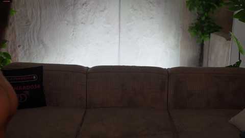 kira0541 free recording from 2026-01-27 10:43:00