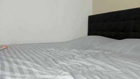 mazekyn free recording from 