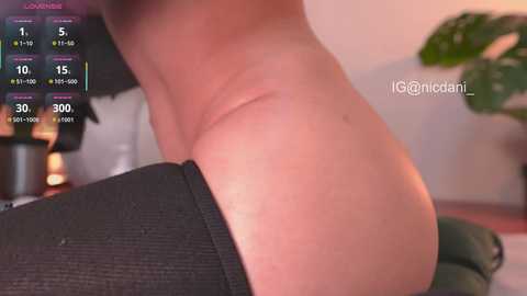 nicdani_1 free recording from 2026-01-27 06:12:00