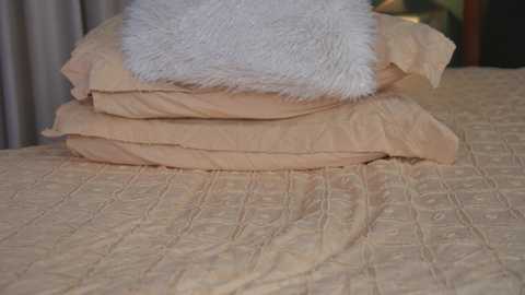 alyonaqueen_ free recording from 2026-01-28 00:47:00