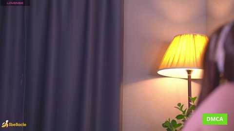 bellacle free recording from 2026-01-28 14:33:00