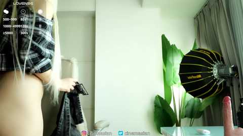 sigmasian free recording from 2026-01-28 08:43:00