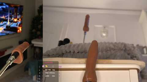 zanadya free recording from 