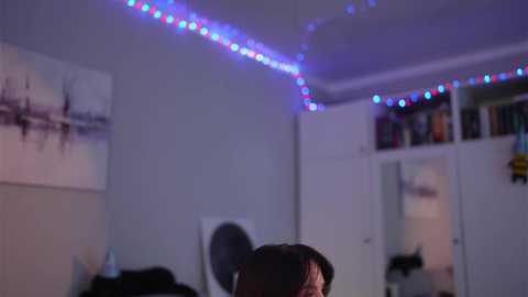 _blackbee_ free recording from 2026-01-29 07:55:00