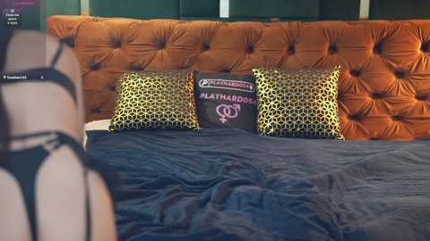 kira0541 free recording from 2026-01-29 10:19:00