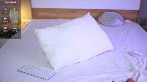 petalpage free recording from 