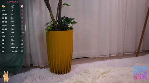 cinacandy free recording from 2026-01-30 06:34:00