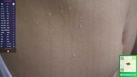 stephaniesally free recording from 2026-01-30 08:26:00