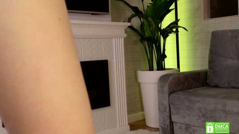 wellicaren free recording from 2026-01-30 17:17:00