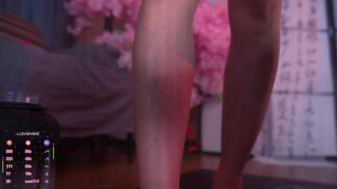 marry_cordy free recording from 2026-01-31 09:48:00