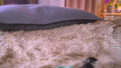 oke_doke free recording from 2026-02-01 19:37:00