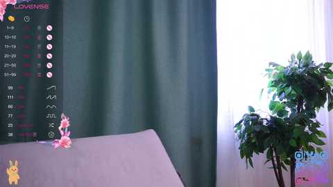 cinacandy free recording from 2026-02-02 07:09:00