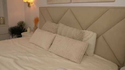 funny_to_see_you_here free recording from 2026-02-02 14:55:00