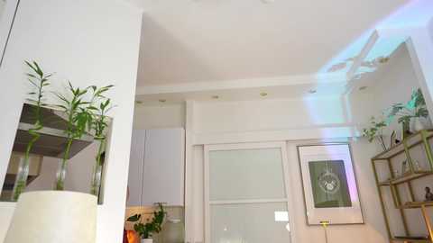 imrealsugar free recording from 