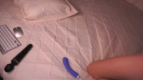 jenny__lii free recording from 2026-02-02 14:23:00