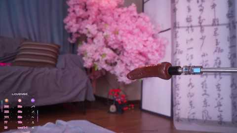 marry_cordy free recording from 