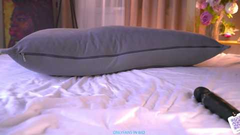 oke_doke free recording from 2026-02-02 17:57:00