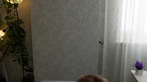 seeunexttime free recording from 