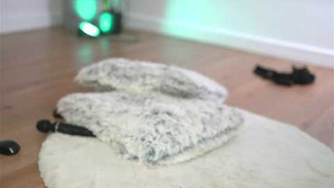 alexxiskye free recording from 2026-02-03 11:46:00