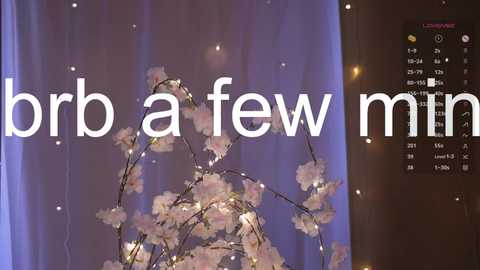 noreenbeckey free recording from 2026-02-03 12:07:00