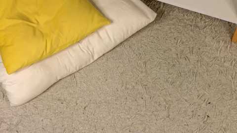 shelleyborom free recording from 