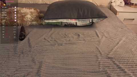 freyabyrne free recording from 