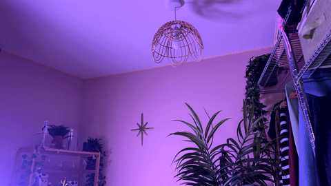 vixenp free recording from 