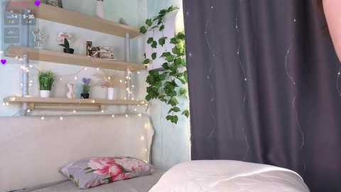 willacrago free recording from 