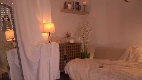 blissdilley free recording from 2026-02-06 06:16:00