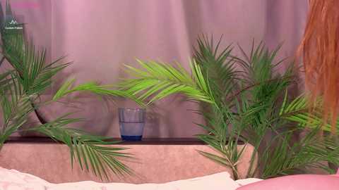 kittyloffe free recording from 2026-02-06 16:31:00