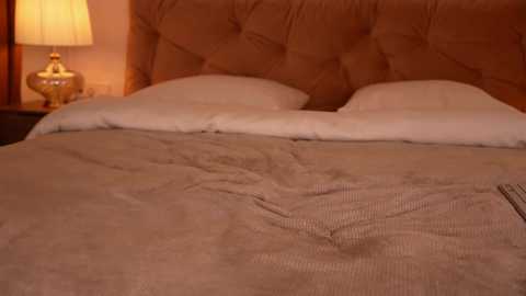 roxy_blue_eyed_ free recording from 