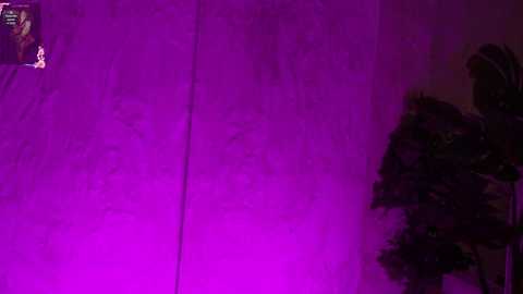 anabel054 free recording from 