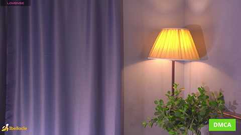 bellacle free recording from 