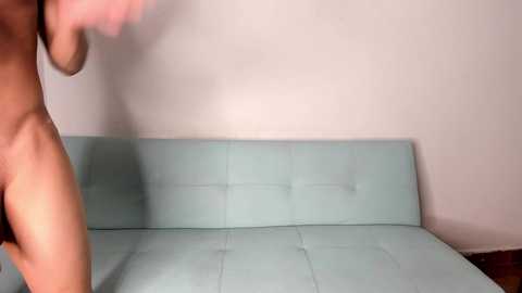 flowershark free recording from 