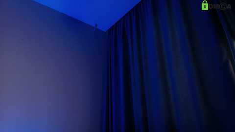 hollyextra free recording from 2026-02-09 11:50:00