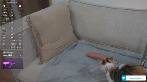 rebeccastonee free recording from 