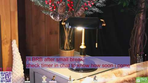 lissa_meooow free recording from 2026-02-11 10:15:00