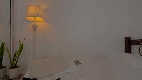 nicolle_mitchelle free recording from 2026-02-11 17:09:00