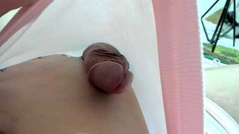 xdreamangel free recording from 