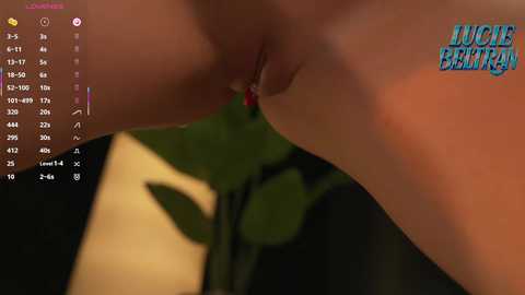 lucie_beltran free recording from 2026-02-12 03:44:00