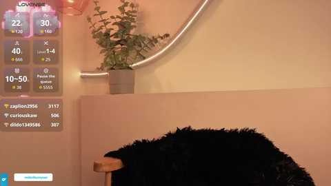 midori__san free recording from 