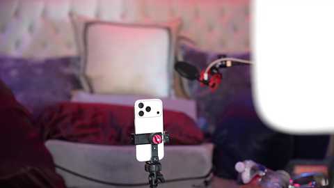 avalonnfoxx free recording from 