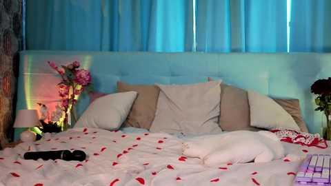 bella_stewartt free recording from 