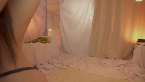 sunny_maria free recording from 
