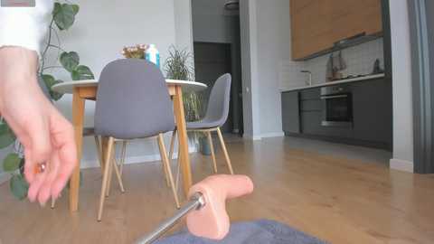 yours_meyy free recording from 