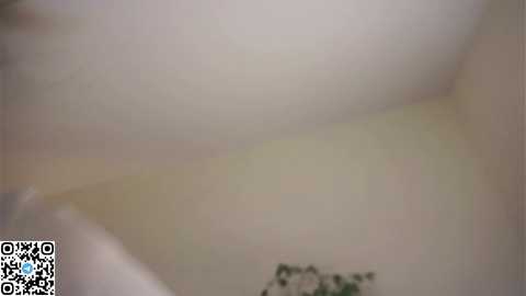 forestproject free recording from 