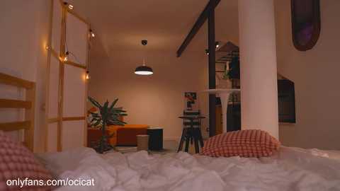 ocicat free recording from 