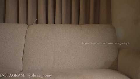 shena_nomy free recording from 2026-02-14 07:06:00