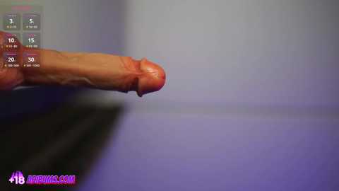 plump_bums free recording from 